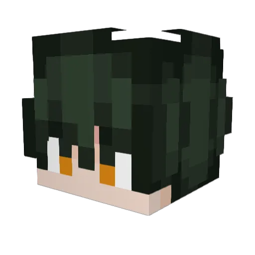 fatferret24 Minecraft avatar head, 3D render