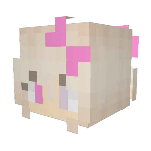 fatfluffysamoyed Minecraft avatar head, 3D render