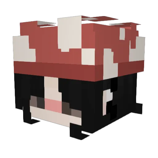 fatherhaiz Minecraft avatar head, 3D render