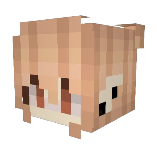 fathertrek Minecraft avatar head, 3D render