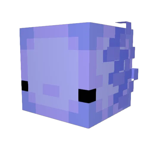 fatjuulrip Minecraft avatar head, 3D render