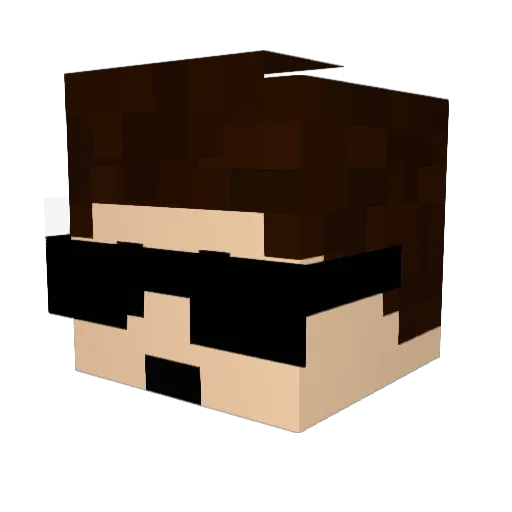 fatkid2012 Minecraft avatar head, 3D render