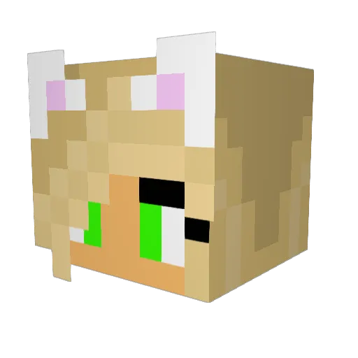 fatman903 Minecraft avatar head, 3D render