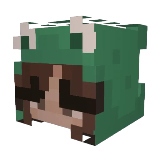 fatmaster101 Minecraft avatar head, 3D render