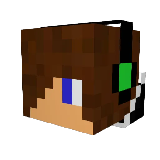 fatmatthew Minecraft avatar head, 3D render