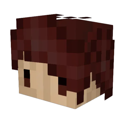 fatnoob78 Minecraft avatar head, 3D render