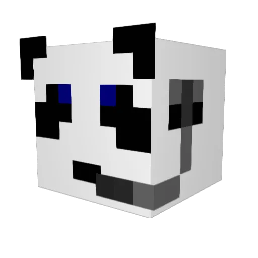 fatpanda51023 Minecraft avatar head, 3D render