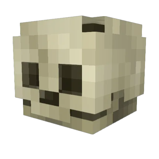 fatturtle67 Minecraft avatar head, 3D render