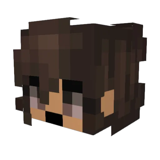 fattysue2 Minecraft avatar head, 3D render