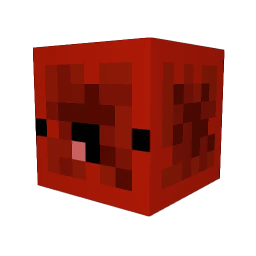 fatvilekyle Minecraft avatar head, 3D render