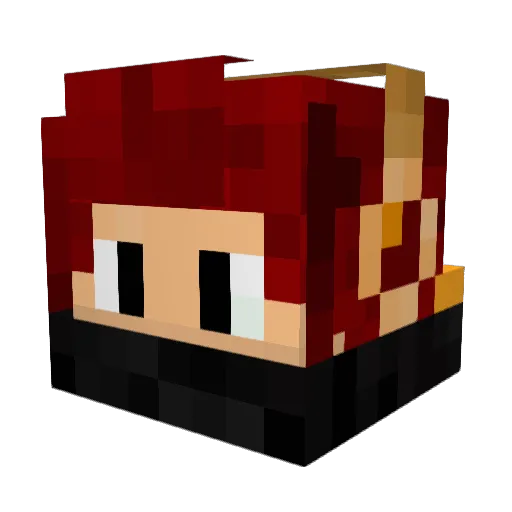 faucon_2007 Minecraft avatar head, 3D render