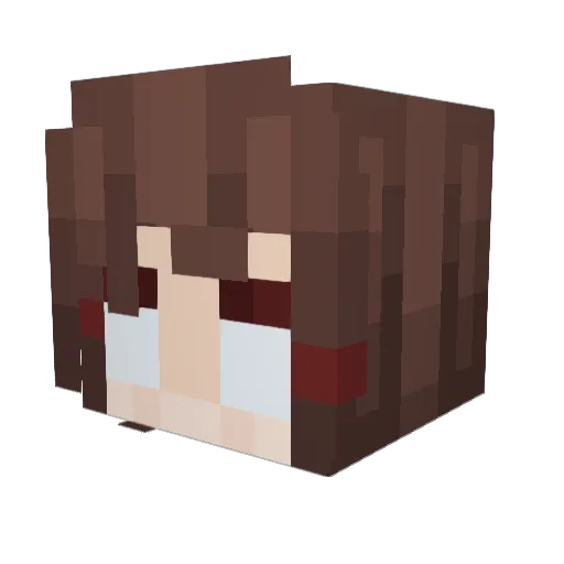 faus0721 Minecraft avatar head, 3D render