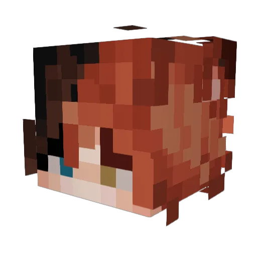 fauxket Minecraft avatar head, 3D render