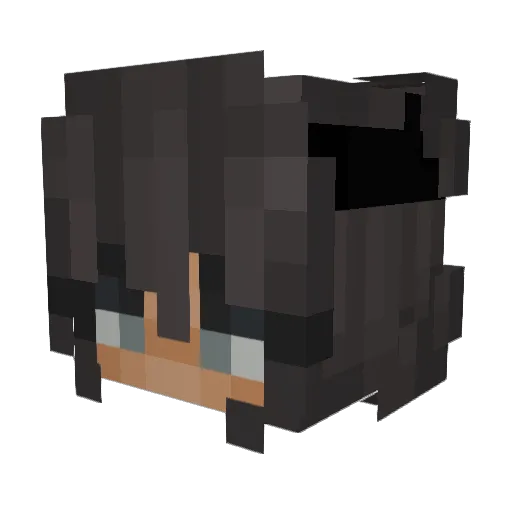 favN3ssa Minecraft avatar head, 3D render