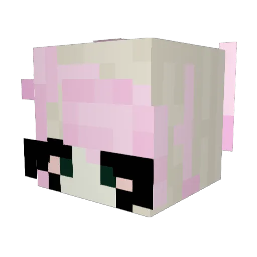 fawngirl333 Minecraft avatar head, 3D render