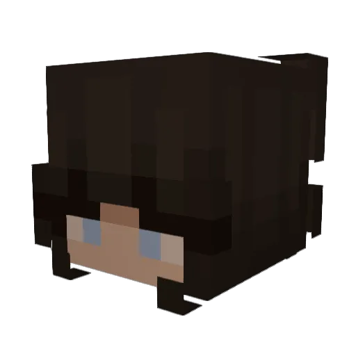 fayeb_10 Minecraft avatar head, 3D render