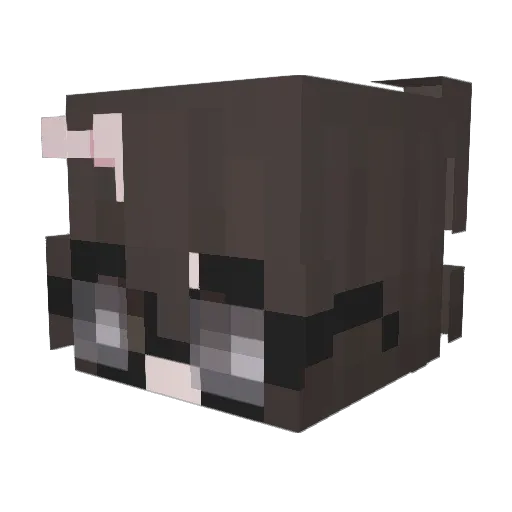 fayeluvly Minecraft avatar head, 3D render