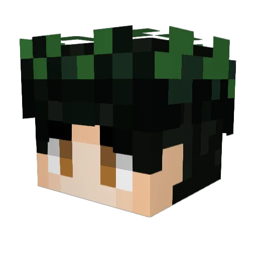fayo786 Minecraft avatar head, 3D render