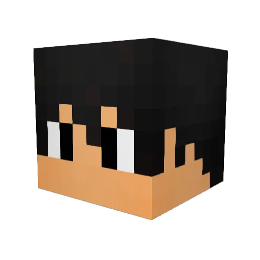 faze_assassin Minecraft avatar head, 3D render