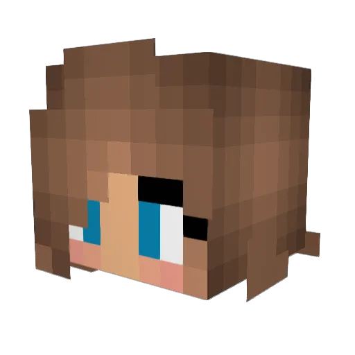 fazejman Minecraft avatar head, 3D render