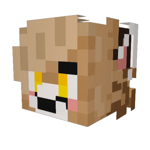 fazzof Minecraft avatar head, 3D render