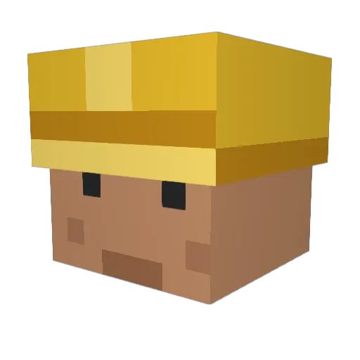 fb_ Minecraft avatar head, 3D render