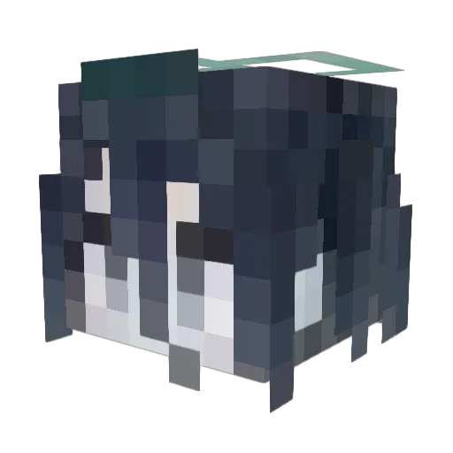 fbaaa Minecraft avatar head, 3D render