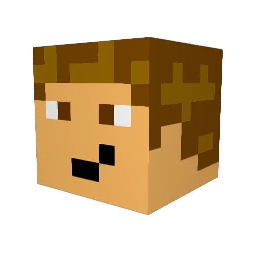 fberg9999 Minecraft avatar head, 3D render