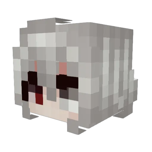 fbhwipfw81reutto Minecraft avatar head, 3D render
