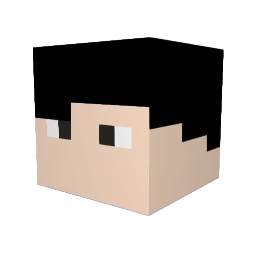 fbnsAlt Minecraft avatar head, 3D render