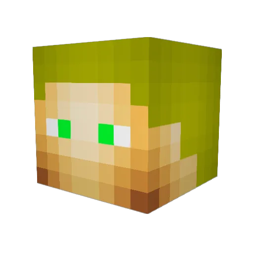 fbr2003 Minecraft avatar head, 3D render