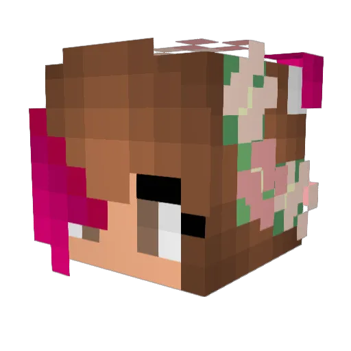 fbuk2 Minecraft avatar head, 3D render