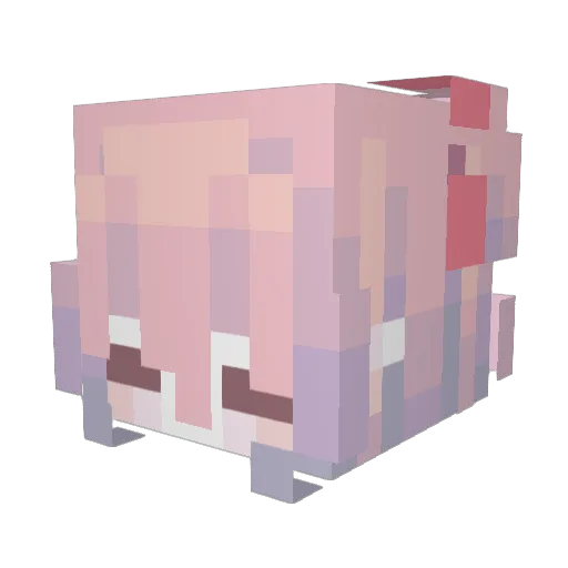 fbwither Minecraft avatar head, 3D render