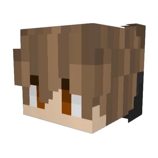 fcafil Minecraft avatar head, 3D render
