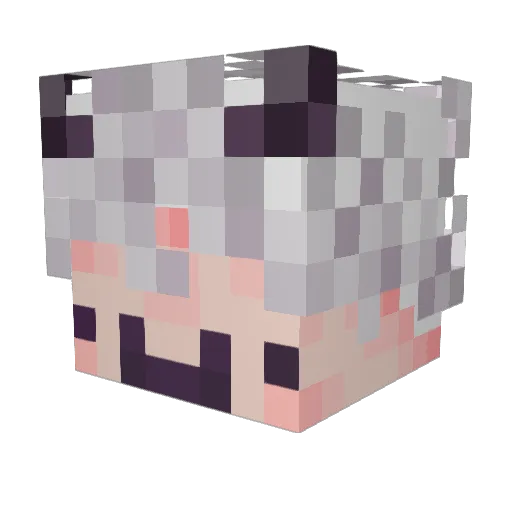 fcardenasbike Minecraft avatar head, 3D render