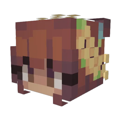 fcela Minecraft avatar head, 3D render