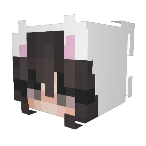 fcggg Minecraft avatar head, 3D render