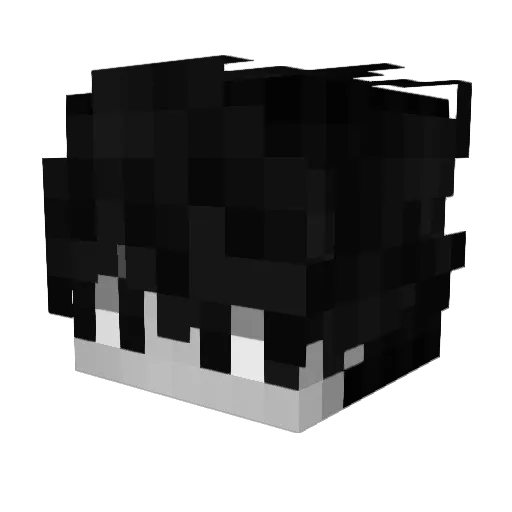 fdbp10 Minecraft avatar head, 3D render