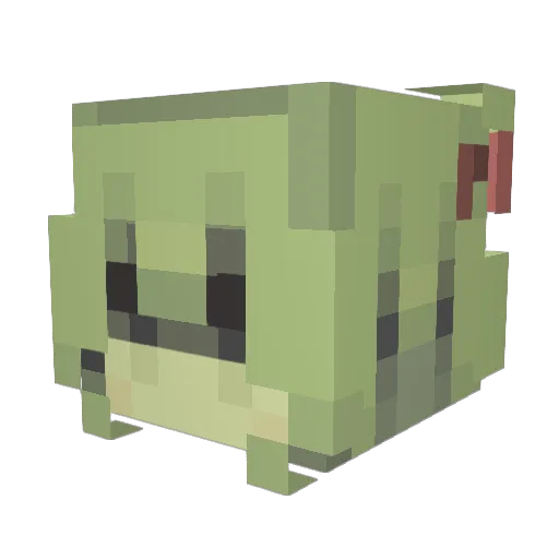 fddl Minecraft avatar head, 3D render