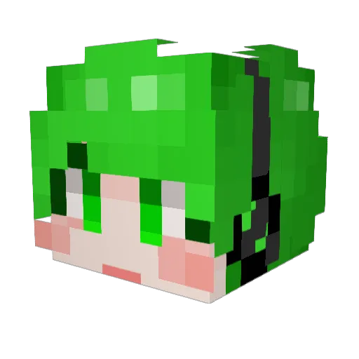 fdsa1022 Minecraft avatar head, 3D render