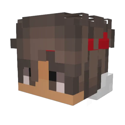 fe6o_ Minecraft avatar head, 3D render
