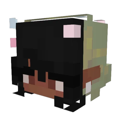 feIicty Minecraft avatar head, 3D render