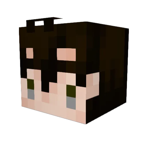 fe_31o Minecraft avatar head, 3D render