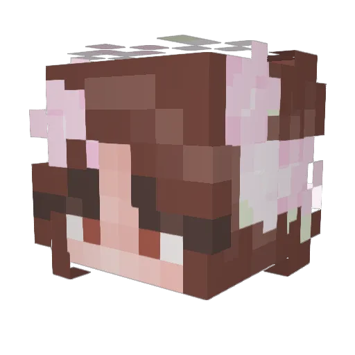 fea2les0 Minecraft avatar head, 3D render