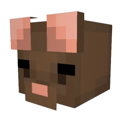 feal7 Minecraft avatar head, 3D render