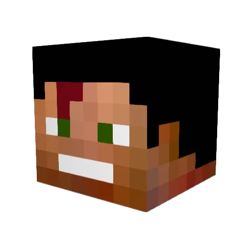 fear_the_king Minecraft avatar head, 3D render