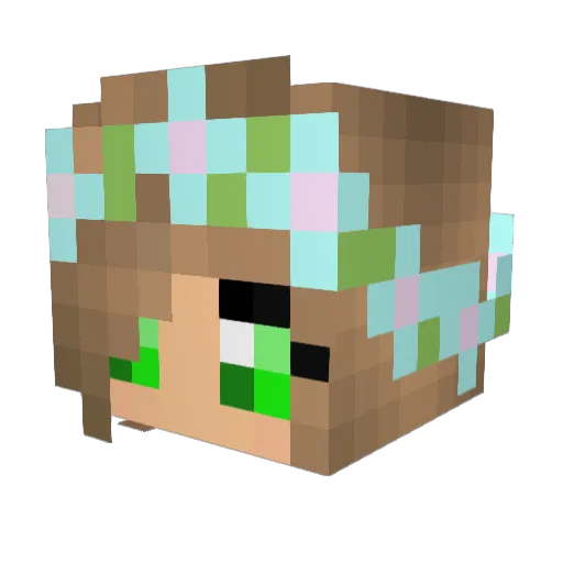 fearfulpanda1 Minecraft avatar head, 3D render