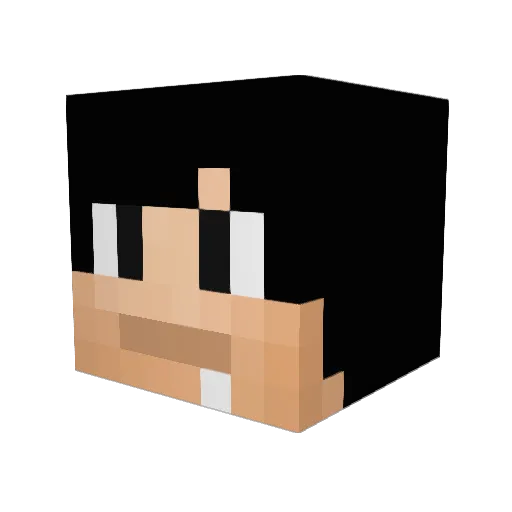 fearlessbear Minecraft avatar head, 3D render