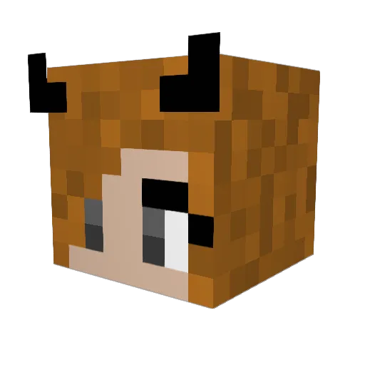 featherhammy Minecraft avatar head, 3D render