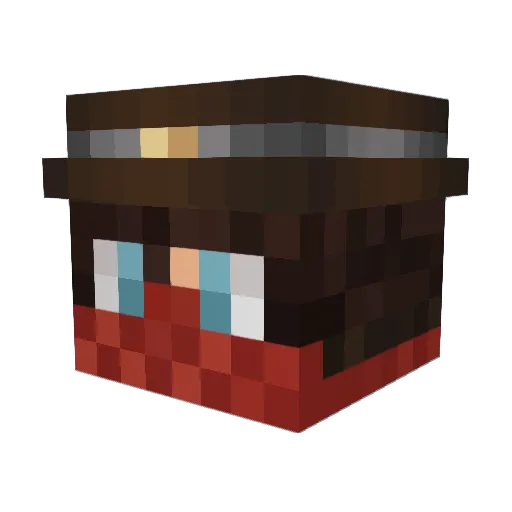 feathersofahawk Minecraft avatar head, 3D render